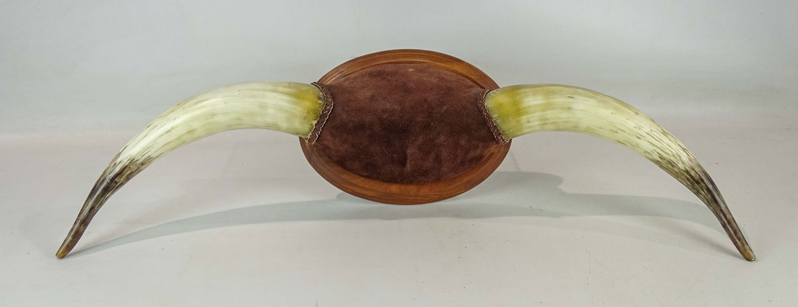 Horn Wall Rack (1 of 7)