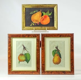 Art & Prints Lot