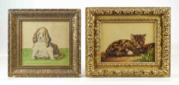 Dog & Cat Portraits