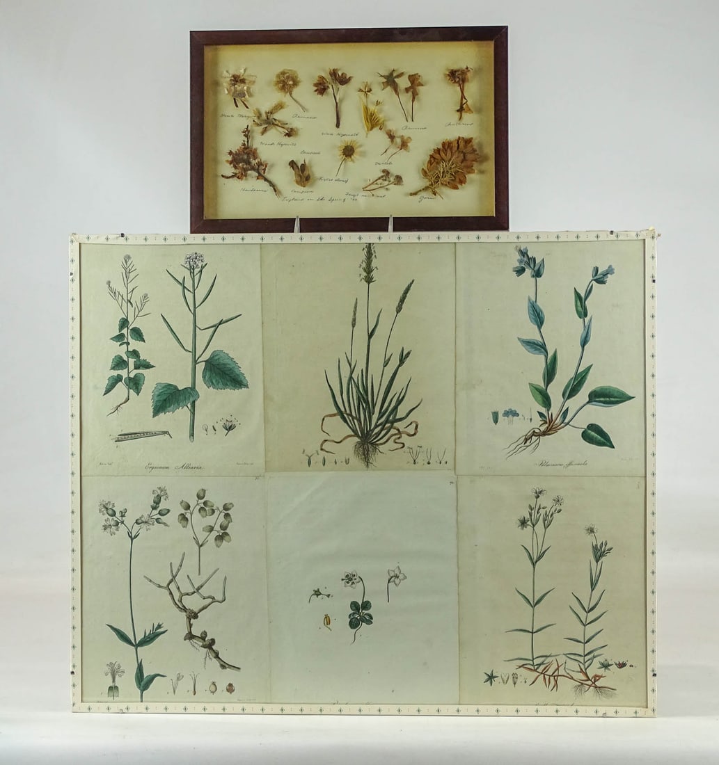 Botanical Prints (1 of 10)