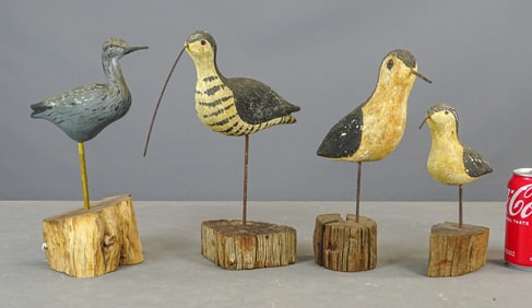 Shorebirds