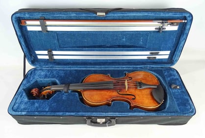 Viola