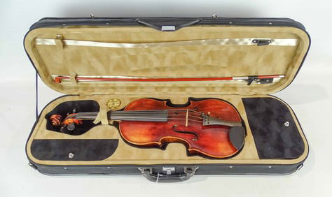 Viola