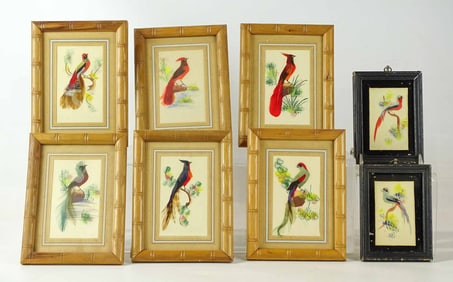 Bird Feather Watercolors