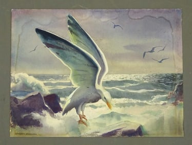 Seagull Watercolor by Bernath