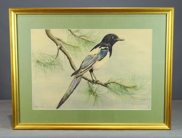 Magpie on Branch, Allan Brooks