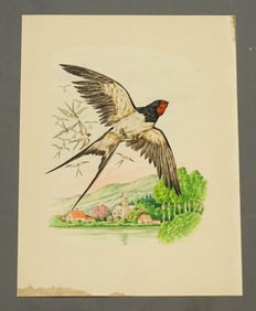Bird Antique Watercolor