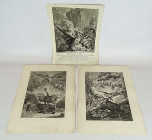 Ridinger Antique Animal Prints (3)