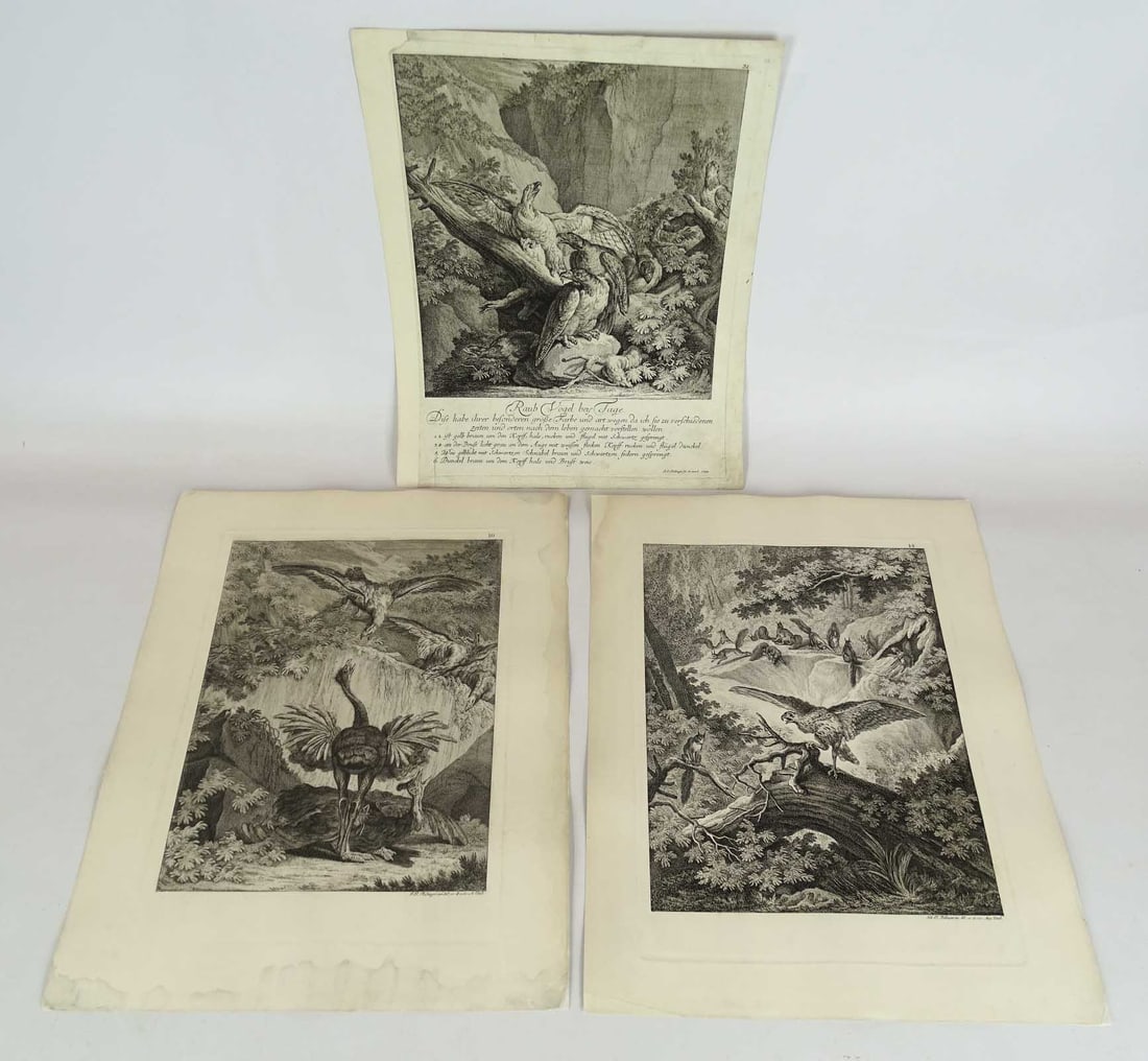 Ridinger Antique Animal Prints (3) (1 of 10)