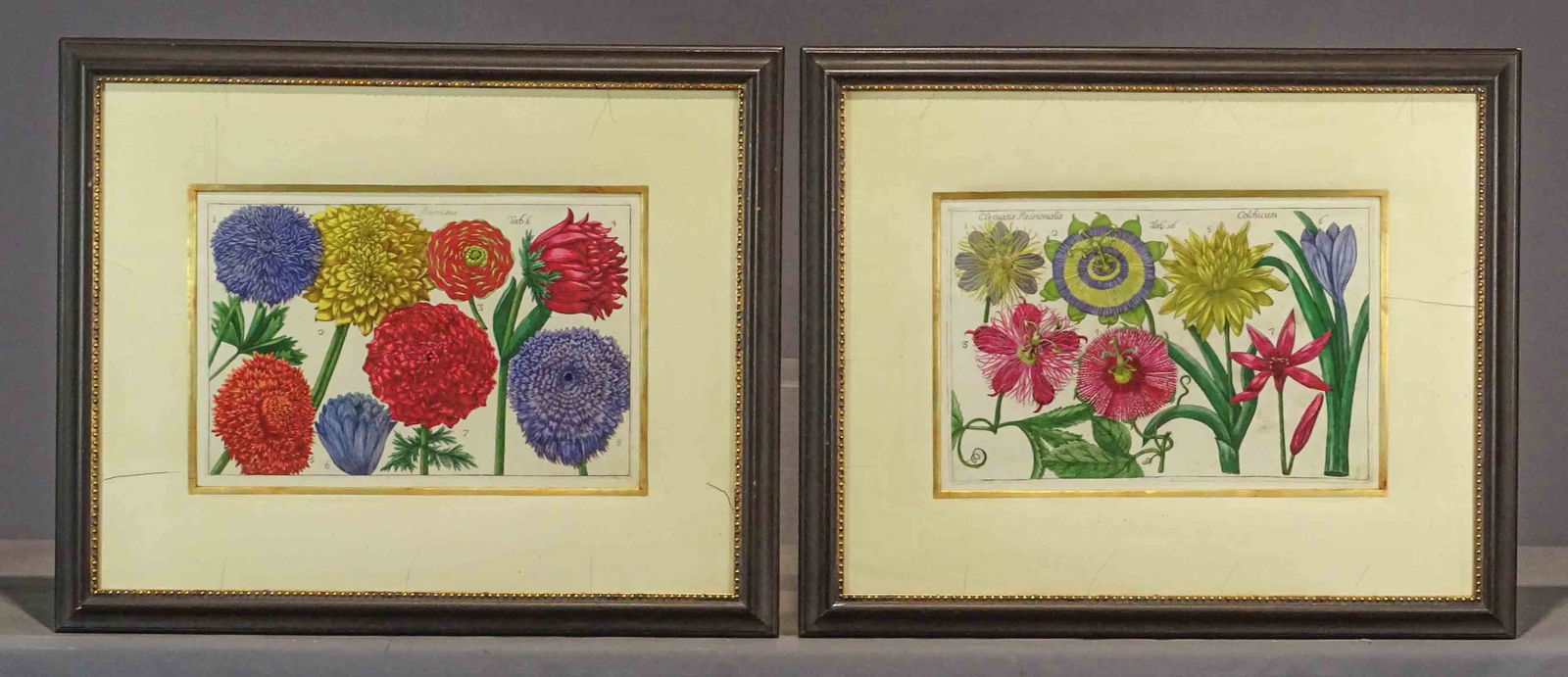 Pair Floral Study Prints (1 of 11)