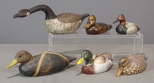 Decoy Lot