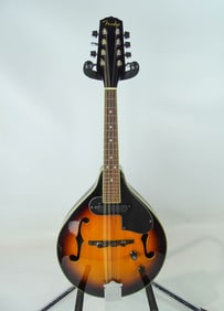 fender Electric Mandolin