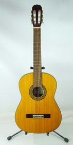 Violao Eagle Acoustic Guitar