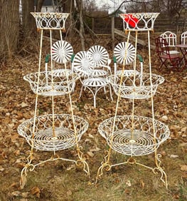 Fern Stands