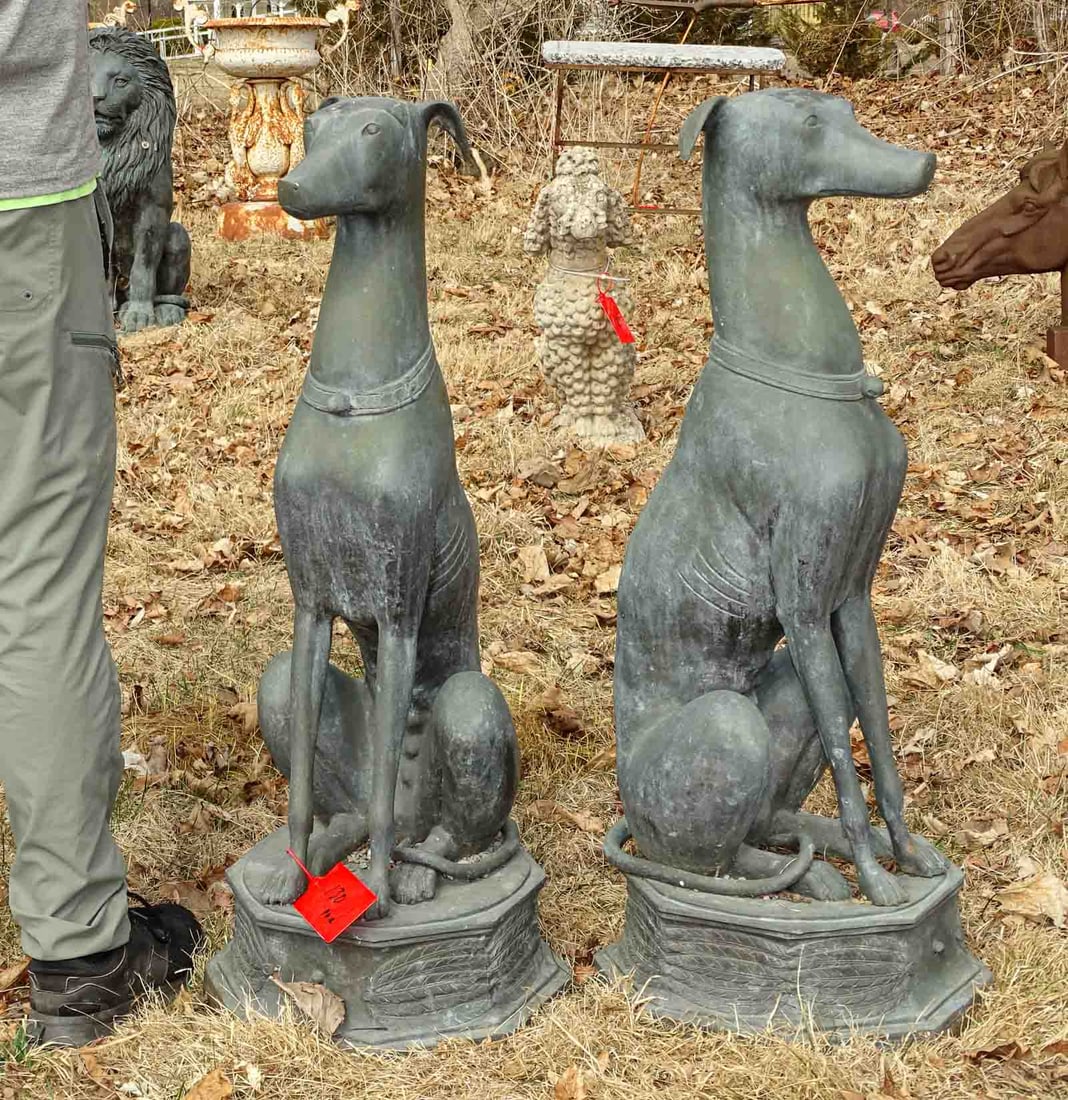 Bronze Whippet Dogs (1 of 8)