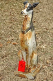 Whippet Dog