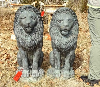 Bronze Lions
