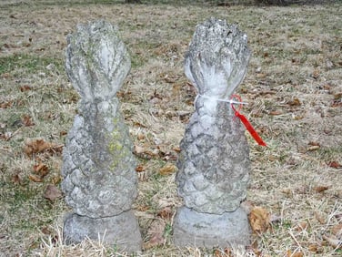 Stone Pineapple