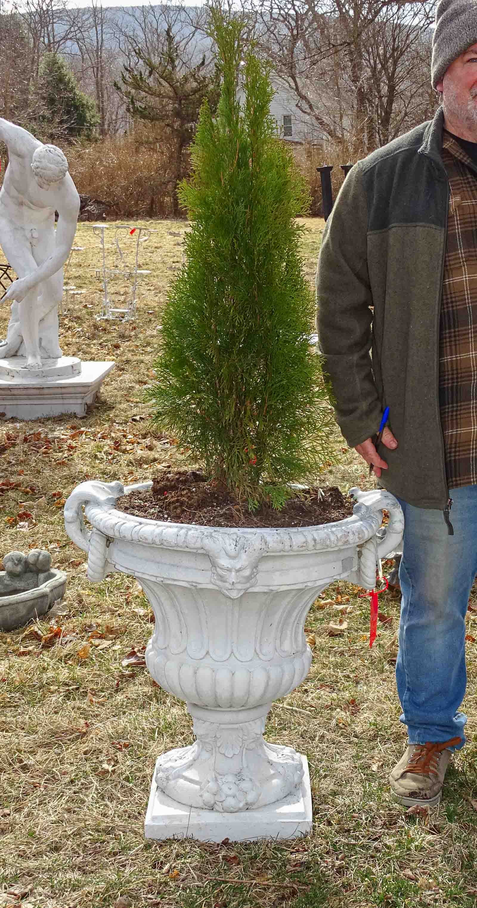 Planter: Fiberglass planter with tree. 28" ht, 26" diameter.