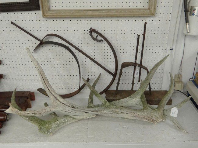 Sculpture: Metal sculpture, as found, made by David Smith in Hudson N.Y., along with two antlers, as found.