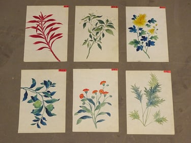 Chinese Botanical Antique Watercolor Set (6)