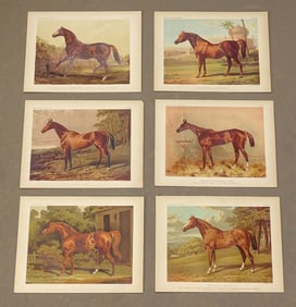 Horses Natural History Print Set (6)