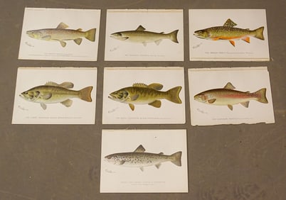Fish Antique Print Set (7)