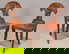 item-209953934=1