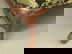 item-209954021=5