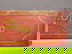 item-209954070=4