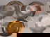 item-209954092=8