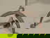 item-209954149=2
