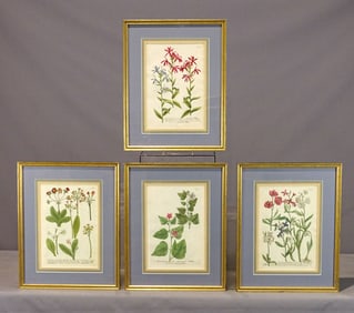 Set of 18th c. Prints