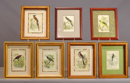 Bird Study Prints