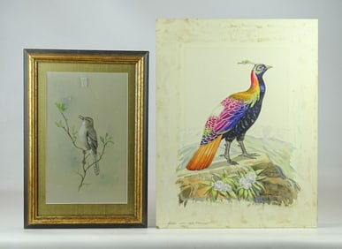 Artwork Lot