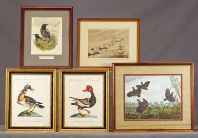Print Lot