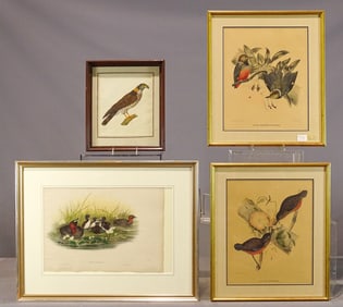 Print Lot