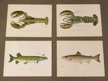 Fish and Lobsters Antique Print Set (4)