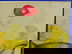 item-209954429=3