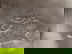 item-209954622=3