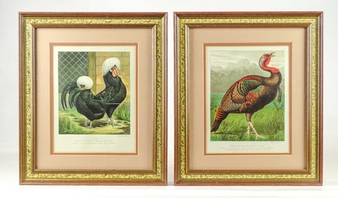 Pair Bird Prints
