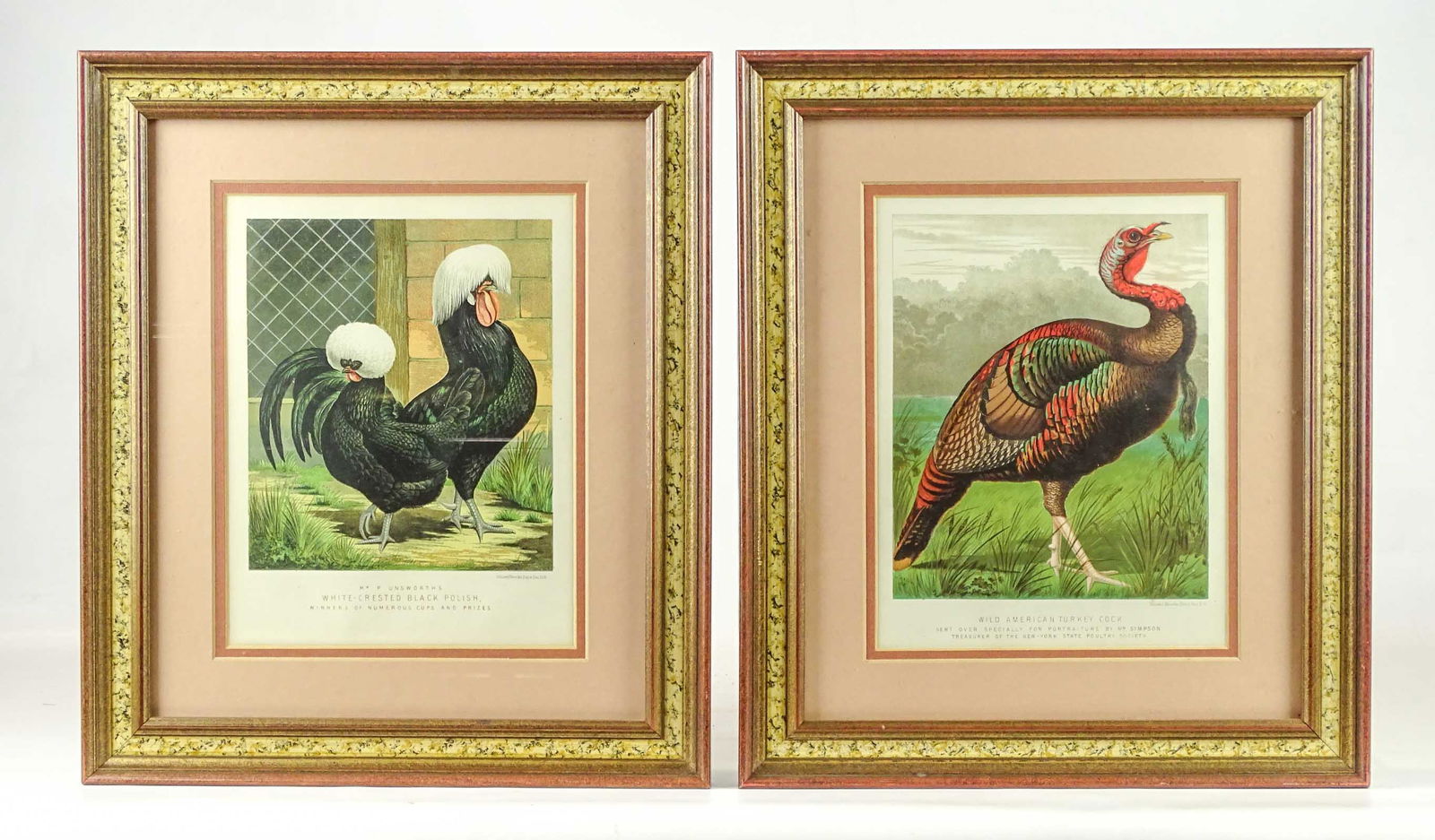 Pair Bird Prints (1 of 12)