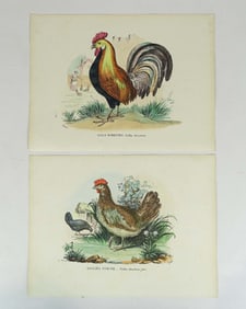 Print Lot