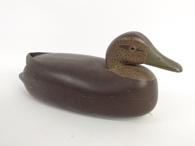 Decoy: Decoy "Black Duck", N.J. or Delaware River, hollow body. Labeled "W.K. Allen Bordentown N.J.". Carver Thomas Fitzpatrick (1887-1958 Delanco N.J.). Glass eyes. 15" Length.