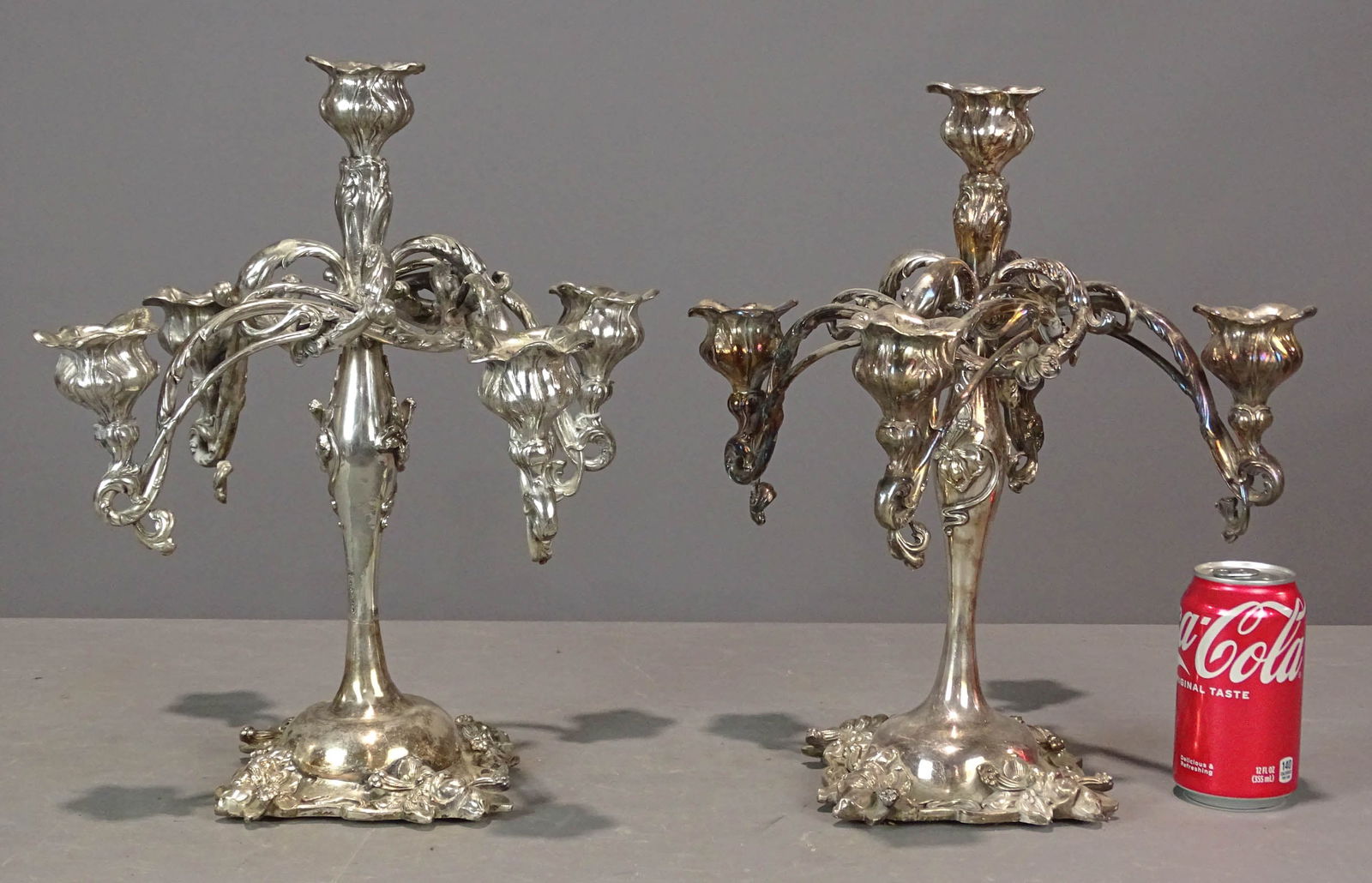 Candelabra Pair (1 of 10)