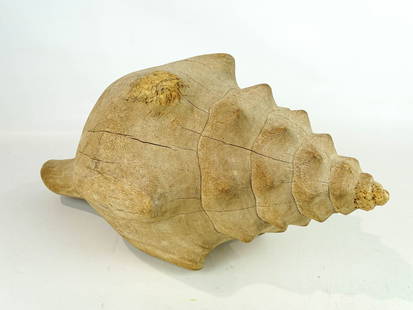 Carved Wooden Conch Shell: Carved wooden Conch shell. 20" x 10" x 10" Ht..