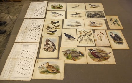 Loose Print Lot