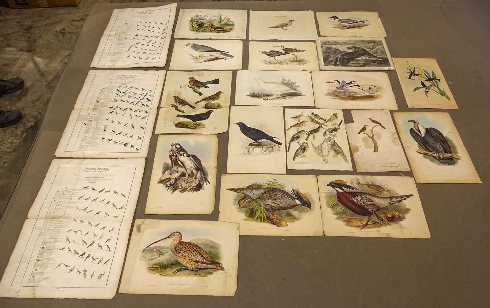 Loose Print Lot (1 of 18)