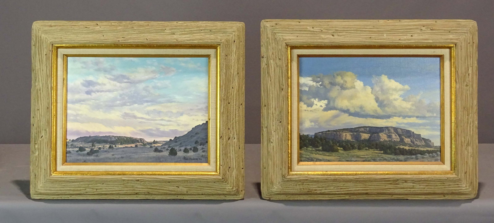 Lee Shulin (20th Century): Lee Shulin (20th Century), (2) Mexican landscapes, oils on canvas. Info verso. Overall in frames. 20" x 24".