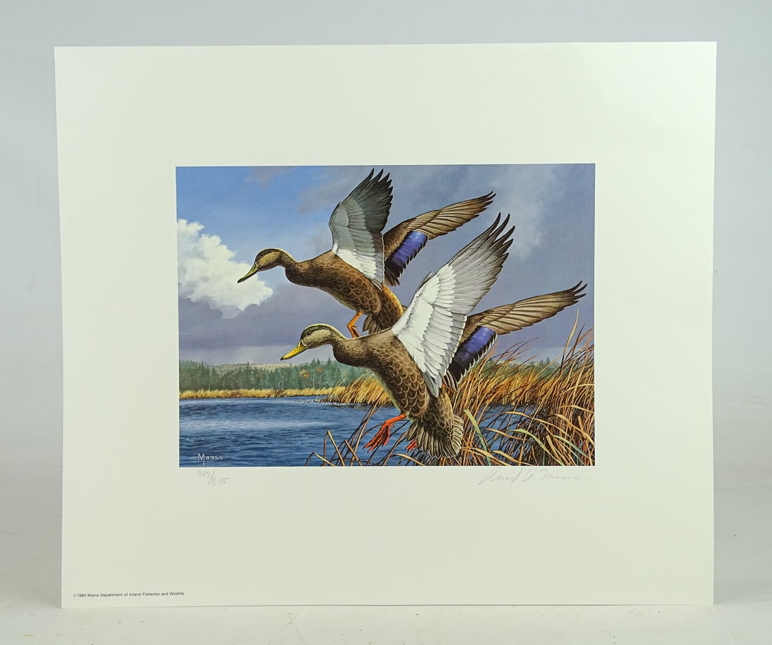 Duck Stamp Print (1 of 9)